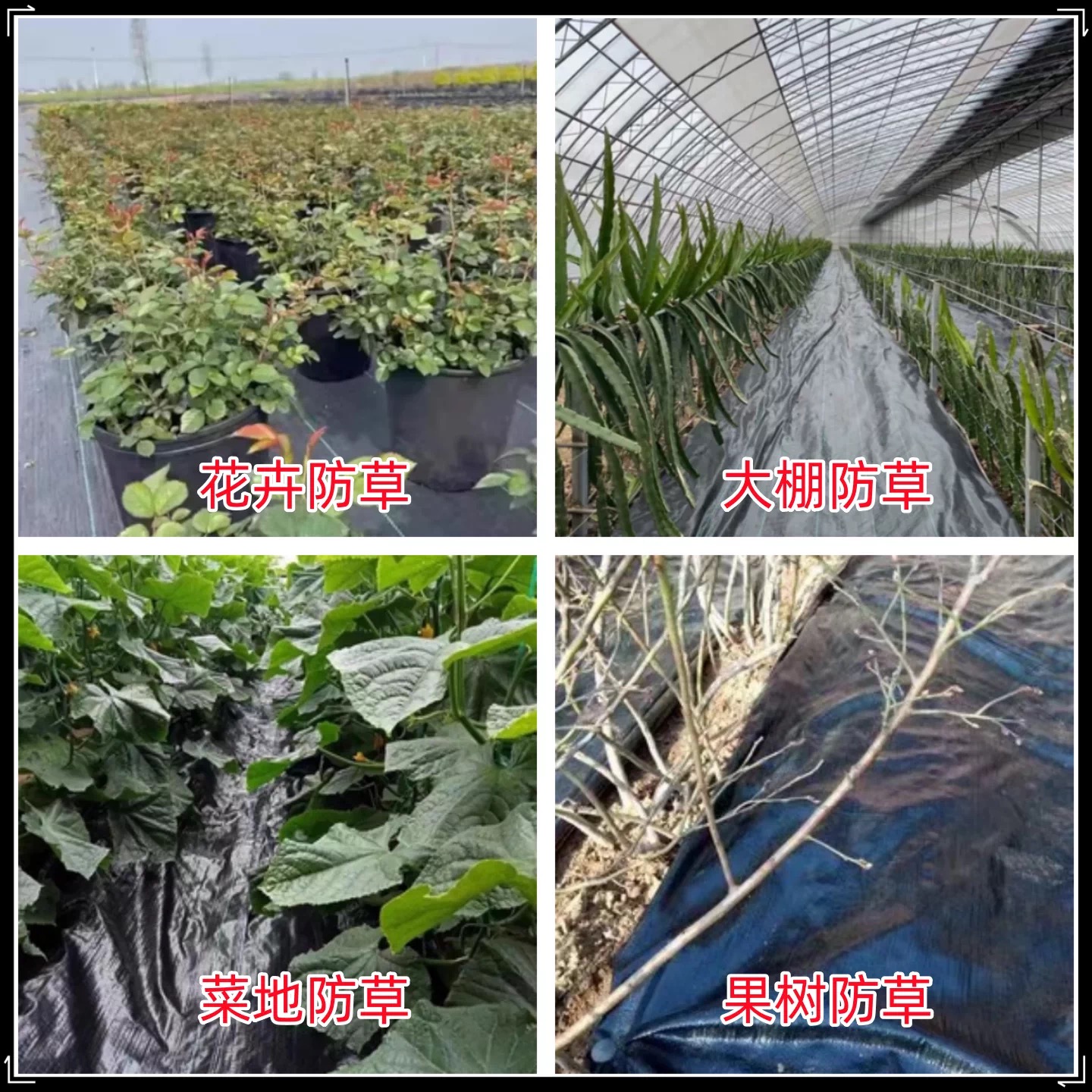 武汉市大棚膜防草布 - 厂家