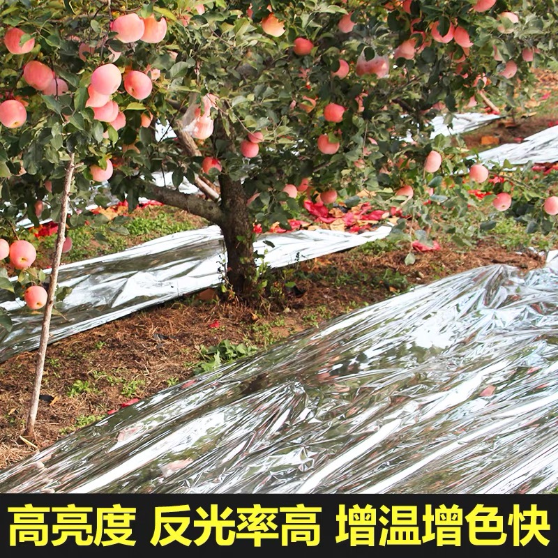 武汉市塑料薄膜果树反光膜 - 厂家